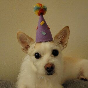 Nothing to see here...👁👄👁